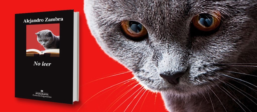 Ensayos de "No leer", de Alejandro Zambra: Todos los libros hablan de mí Portada del libro "No leer" de Alejandro Zambra junto a primer plano de gato gris con ojos amarillos sobre fondo rojo