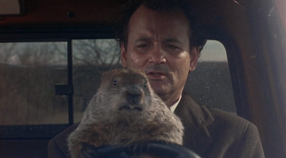 Hombre en interior de automóvil sosteniendo una marmota, expresión seria, ventanas del vehículo visibles al fondo