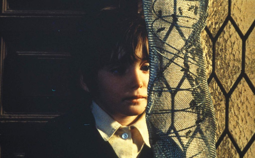 El espíritu de la colmena