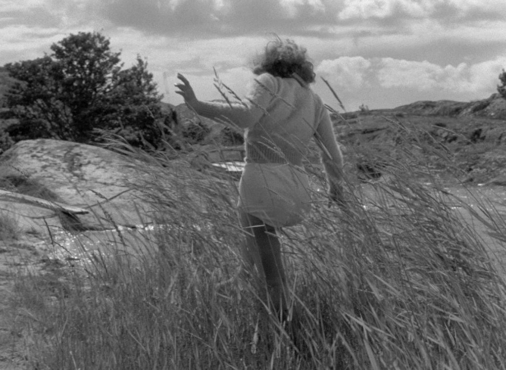 Mujer de espaldas en campo de trigo bajo cielo nublado, escena de drama cinematográfico en naturaleza rural