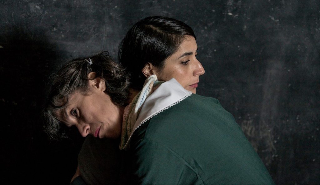 prefiero-morir-a-que-me-coman-los-perros