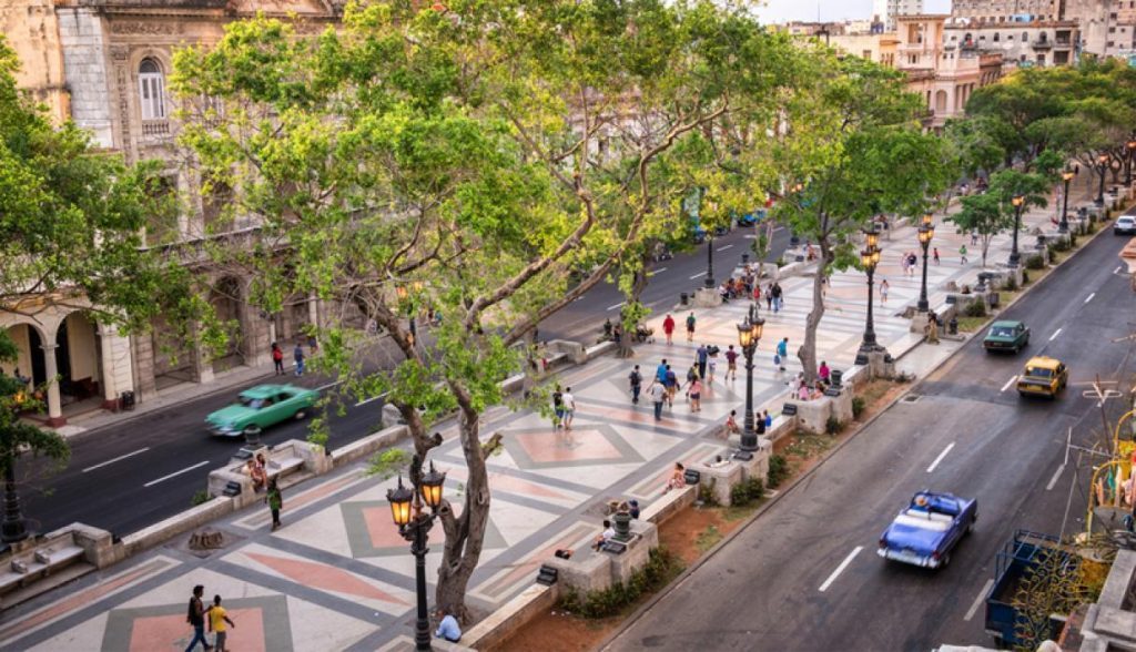 Calle habanera con aceras amplias, árboles frondosos, peatones caminando y vehículos circulando en la avenida