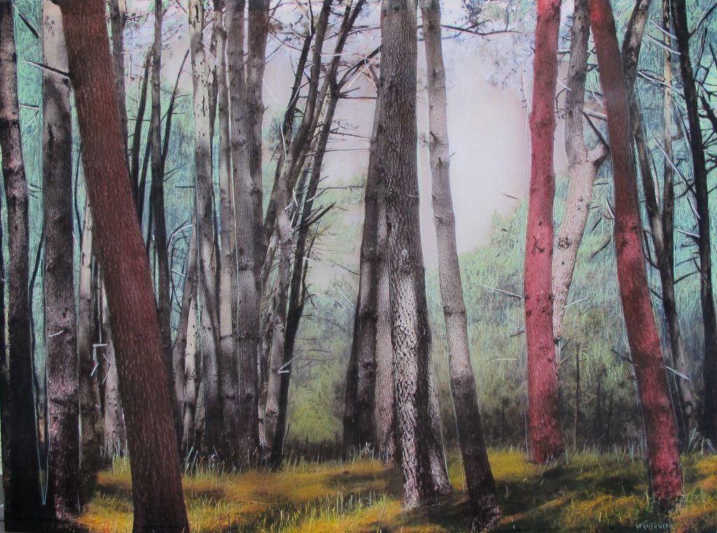 Bosque de árboles altos con troncos rojo oscuro y verde, musgo en el suelo, atmósfera nebulosa y húmeda