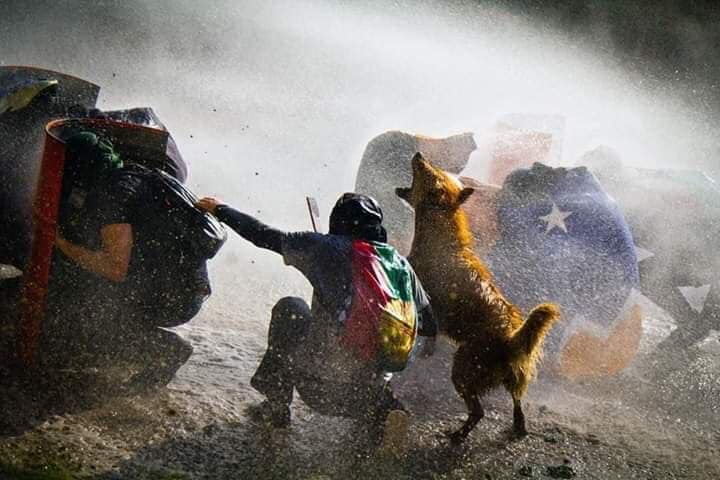 "Síndrome del mayordomo": El "ethos" del desclasado Tres hombres en medio de una tormenta de agua y polvo, gesticulando con intensidad en un ambiente caótico y turbulento