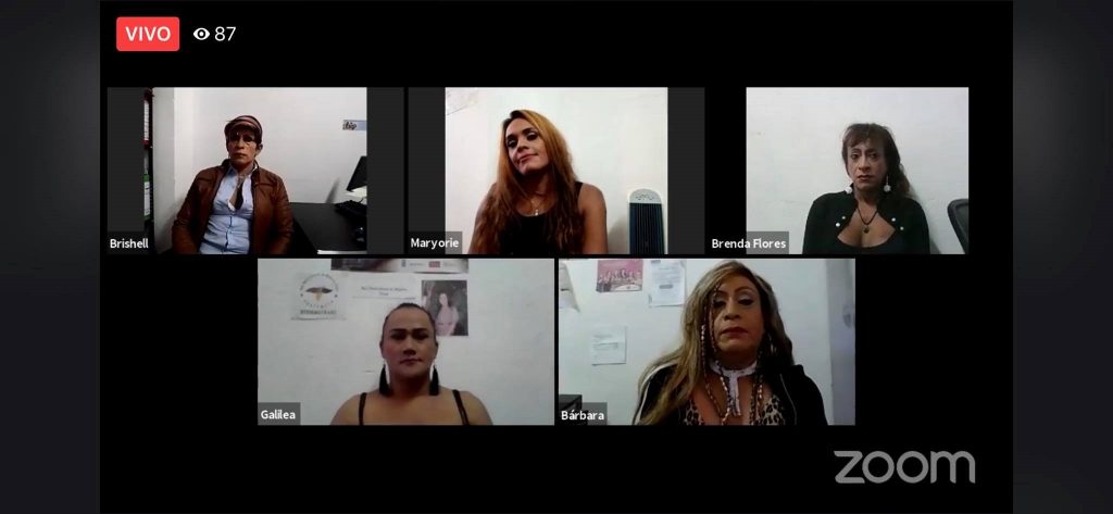 Cinco personas en videoconferencia Zoom durante performance Agencia de desempleo de Regina José Galindo sobre crisis