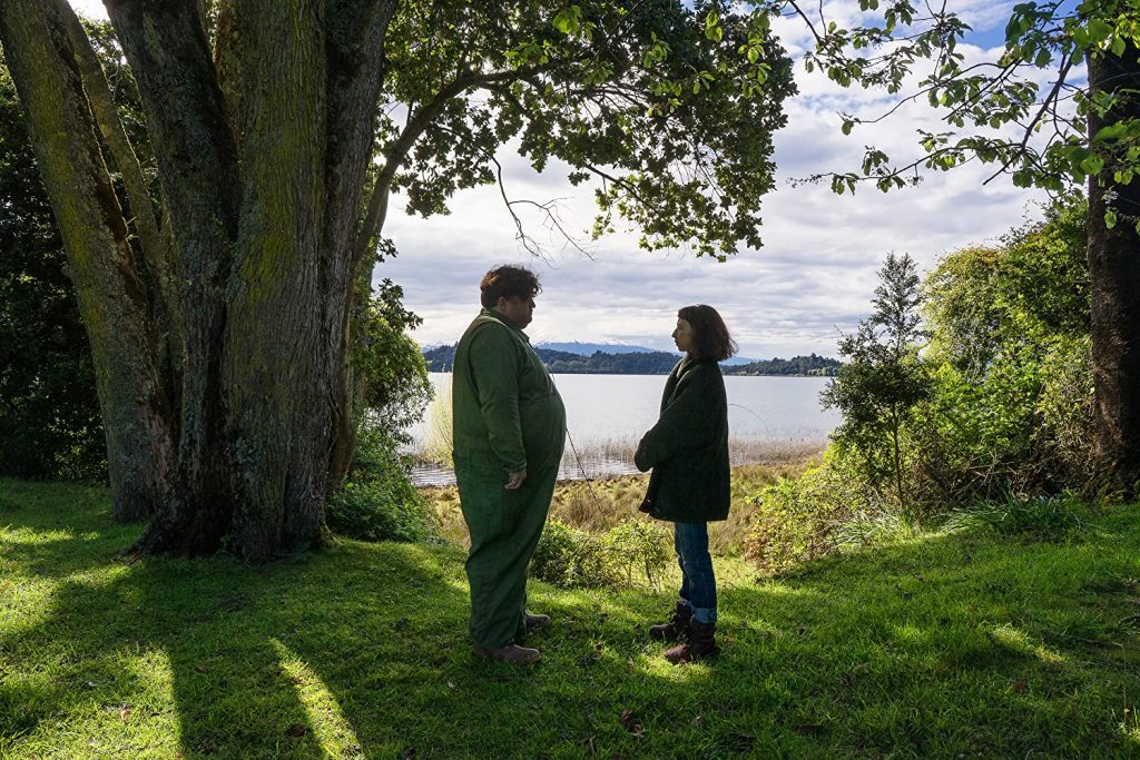 "Nadie sabe que estoy aquí": Tocar el cielo de Chile con las manos Dos personas de pie bajo un árbol frondoso junto a un lago, mirando hacia el horizonte en un paisaje natural chileno