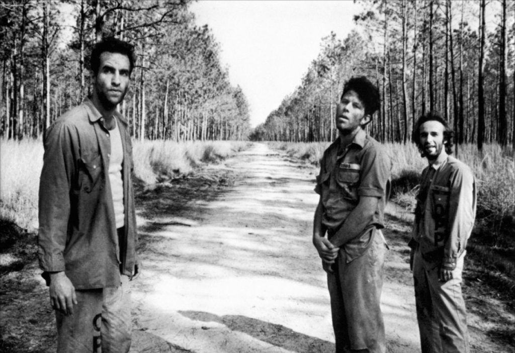 Tres hombres en un camino de tierra entre árboles de pino, fotografía en blanco y negro de estética cinematográfica