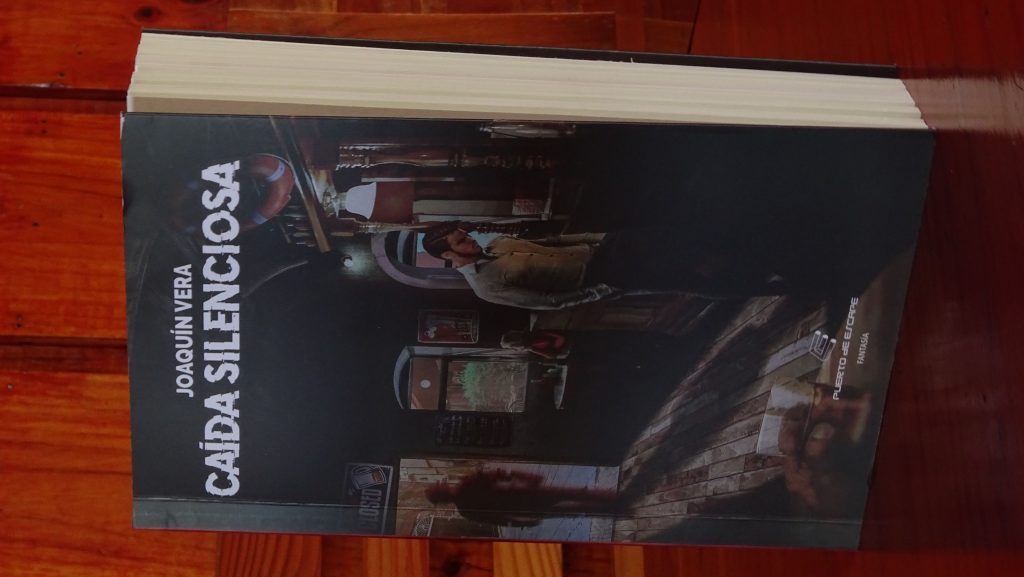 Portada del libro Caída silenciosa con fotografía en tonos oscuros de una persona en posición de caída o desplome