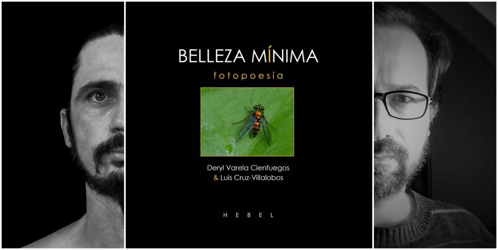 Portada de Belleza Mínima con dos hombres en blanco y negro a los lados y imagen central de insecto verde
