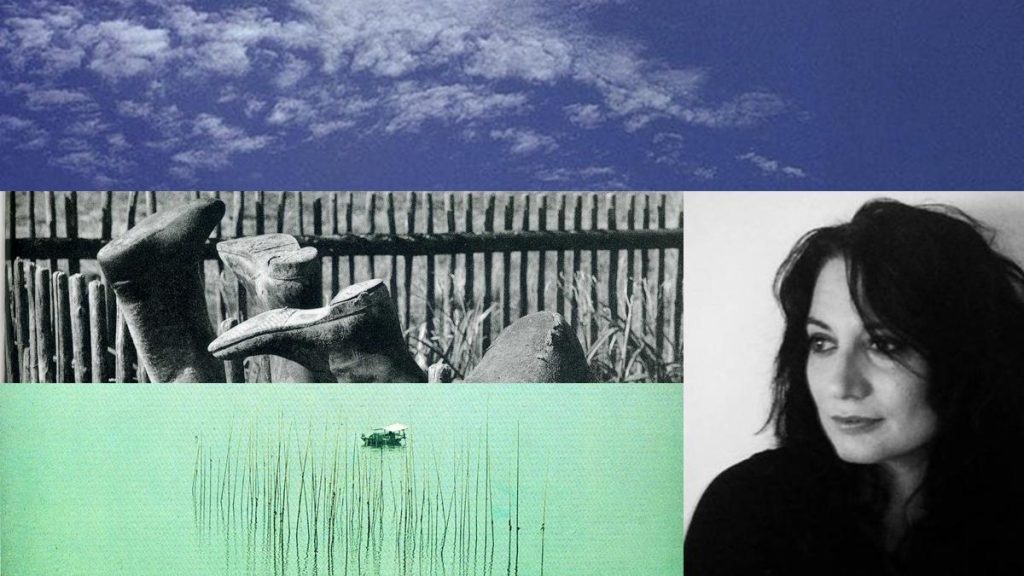 Collage con retrato de mujer de cabello negro y escenas en blanco y negro de figura recostada junto a cerca de madera