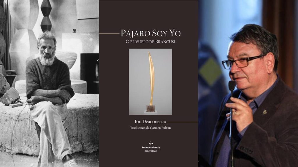 Pájaro soy yo