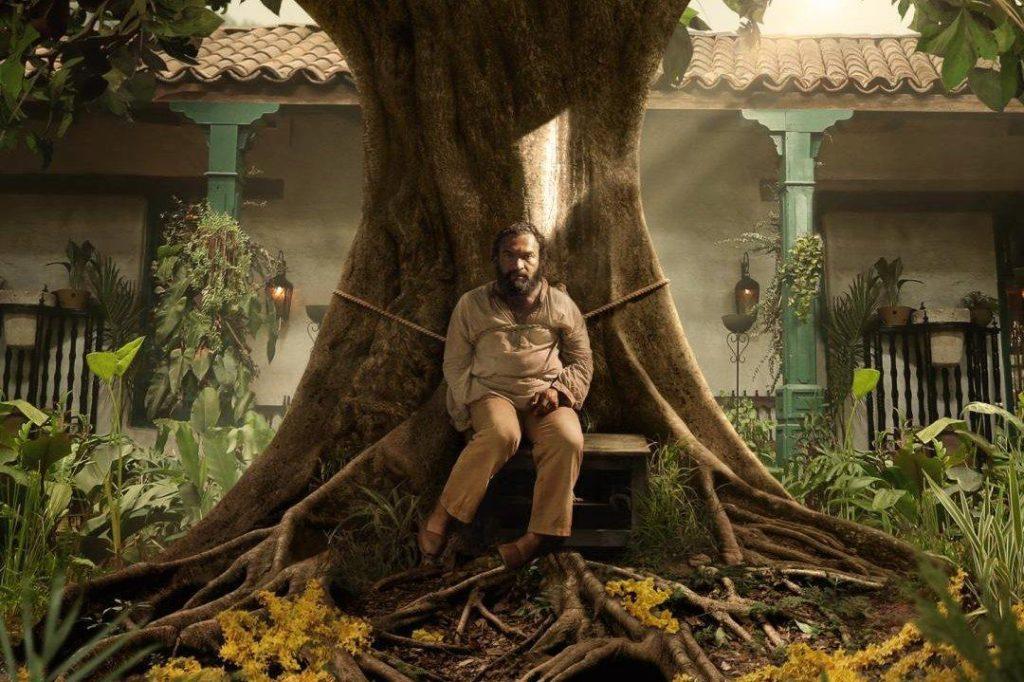 Niño sentado entre las raíces de un árbol gigante en patio colonial con vegetación y arquitectura verde