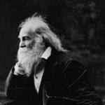 whitman 5